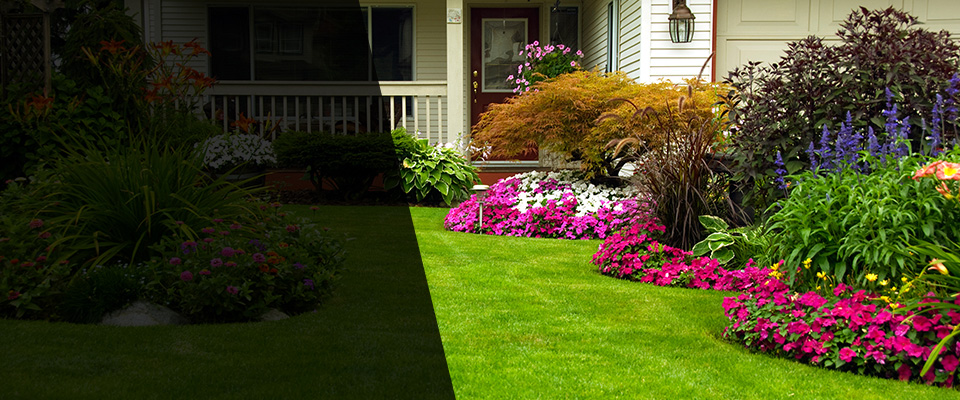 Menifee Landscapers